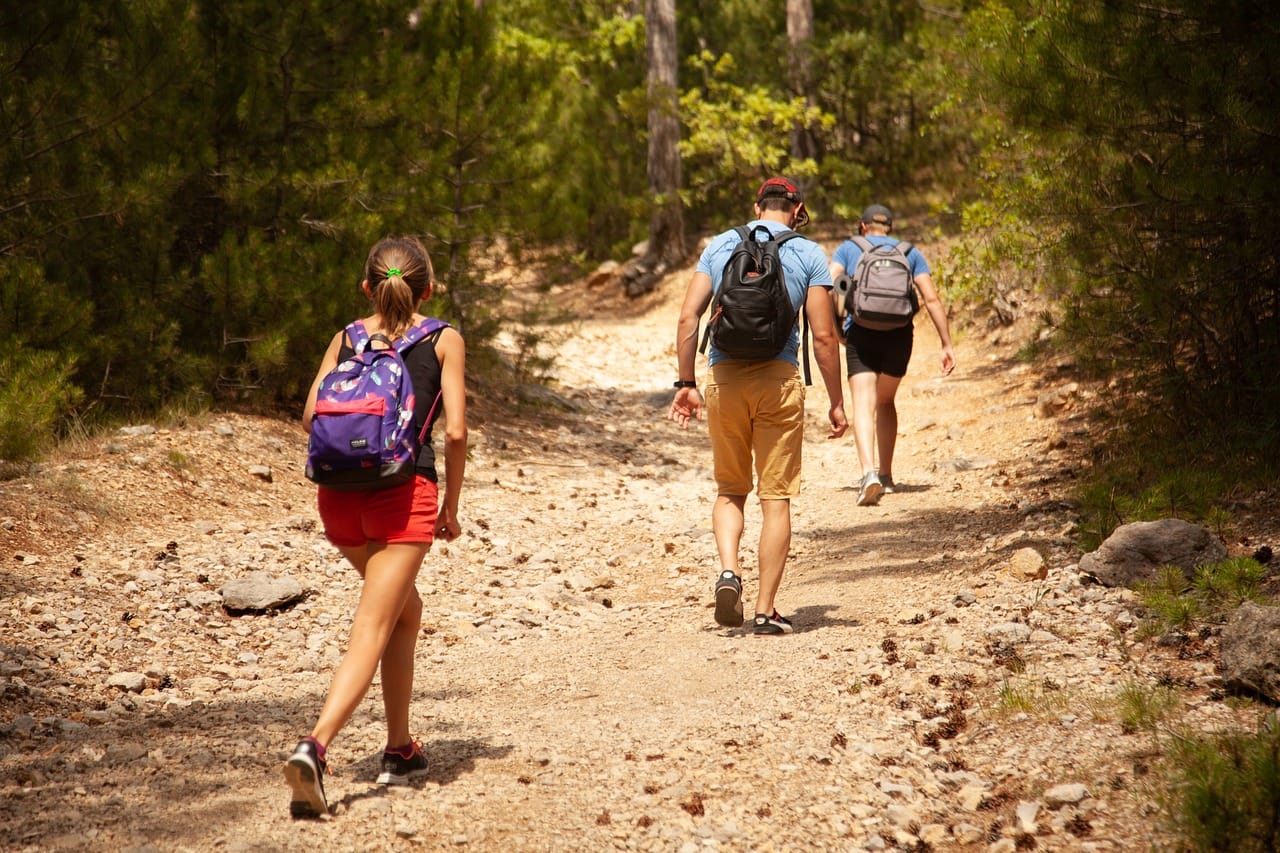 Polskie miejsca przyjazne zwierzętom: Gdzie czworonogi są mile widziane?