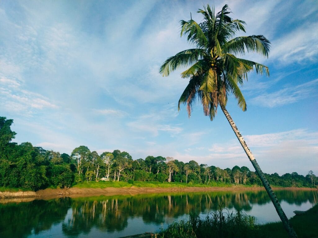 Sabah czy Sarawak? Którą część malezyjskiego Borneo wybrać na pierwszy wyjazd